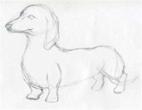 Outline Drawings Of Dogs Click The Image To Enlarge Dog Sketch Dog