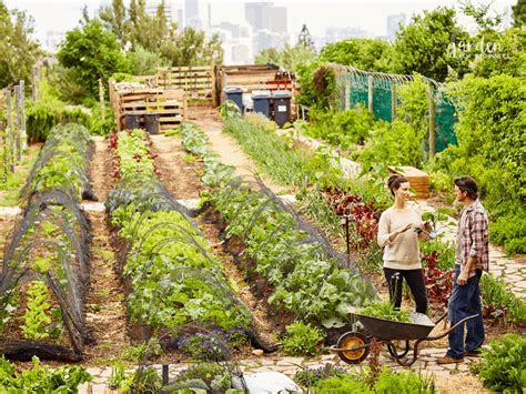 How To Plan A Vegetable Garden Design Your Best Garden Layout