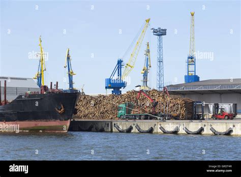 Bow Of A Cargo Ship That Is Unloaded From The Timber Stock Photo Alamy