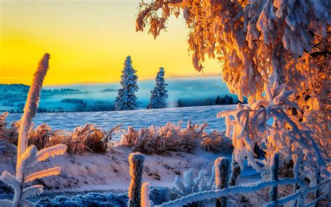 Winter 1080p High Quality Sunset Landscape Beautiful Wallpapers