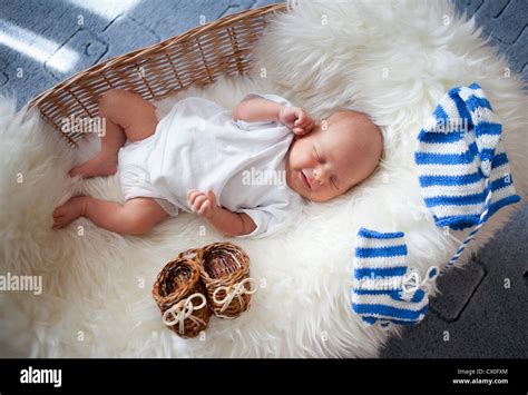 Sleeping Newborn Baby In Wicker Basket Lying On Sheepskin Stock Photo