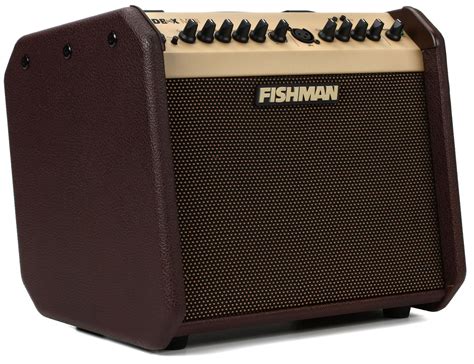 5 Best Small Acoustic Guitar Amps 2023 Buyers Guide