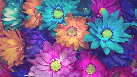 3840x2160 Flowers 4k Free Download Of Hd Hd Wallpaper Rare Gallery