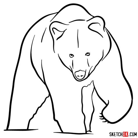 How To Draw A Grizzly Bear Front View Sketchok Easy Drawing Guides