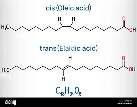 Ácido Oleico Cis Y ácido Elaidic Trans ácidos Grasos Omega 9 Son