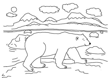 Arctic Animals Polar Bear Walking Around Coloring Page : Kids Play Color