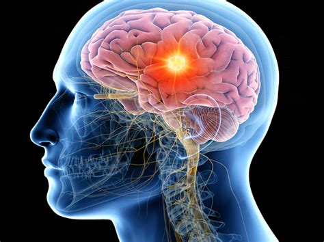 The Main Blood Biomarkers That Can Show Symptoms Of Brain Diseases