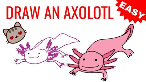 How To Draw An Axolotl Step By Step Drawing Axolotl Guide Easy