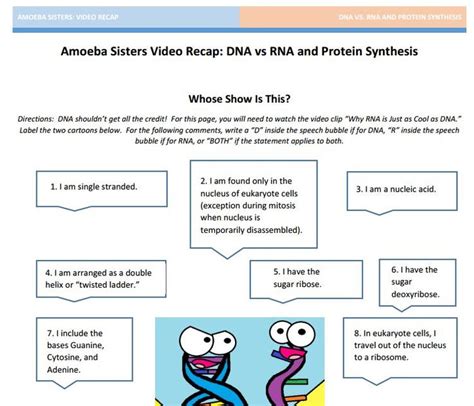 Tune in the first thursday of every month for silly sister banter and a little science. DNA vs. RNA + Protein synthesis handout made by the Amoeba Sisters. Click to visit website and ...