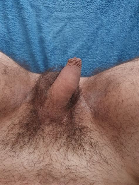 mein penis 10 pics xhamster