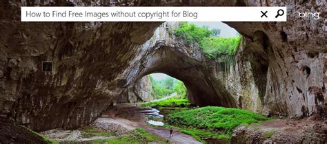How To Find Free Images Without Copyright For Blog
