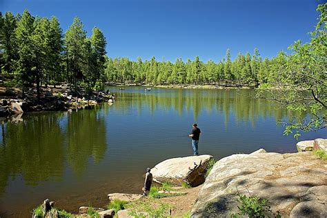 Woods Canyon Lake Photograph By Barbara Zahno Pixels