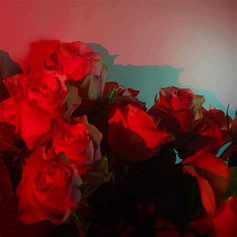 Pin By D M On Red Aesthetic Roses Aesthetic Colors Red Aesthetic