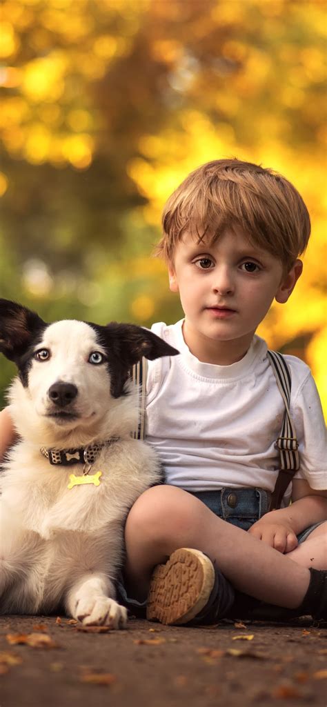 Wallpaper Cute Little Boy And Dog Friends Child 5120x2880 Uhd 5k