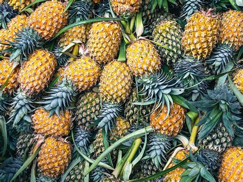 31 Different Types Of Pineapple You Must Taste In 2023