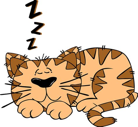 Sleeping Brown Cat Drawing Clipart Free Download Transparent Png