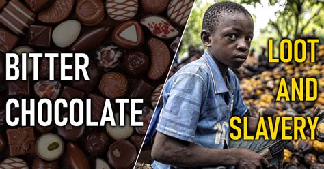 Bitter Chocolate The Loot And The Slavery ~ Indicvoices