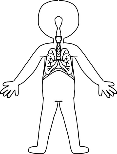 Congratulations The Png Image Has Been Downloaded Human Body Clipart