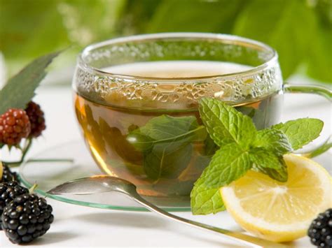 Buy Lemon Balm Tea Benefits Preparation Side Effects Herbal Teas
