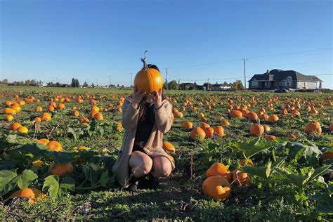 Pumpkin Patches Near Vancouver You Can Visit This Fall Listed Hot Sex Picture