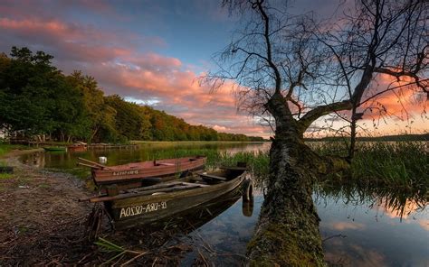 Nature Landscape Trees Boat Calm Forest Lake Dock Sunset Reeds Water