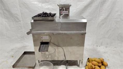 Semi Automatic Single Phase Mango Pulp Making Machine At Rs 35000 In Rajkot