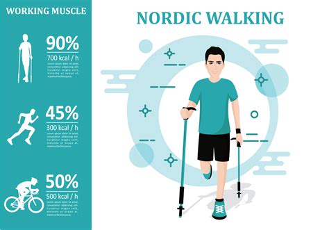 Nordic Walking Infographic 144855 Vector Art At Vecteezy