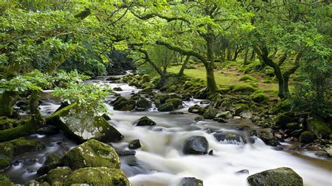 England National Park Britain England Forests Streams Uk