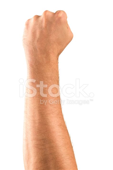 Isolated Hand Fist Stock Photo Royalty Free Freeimages