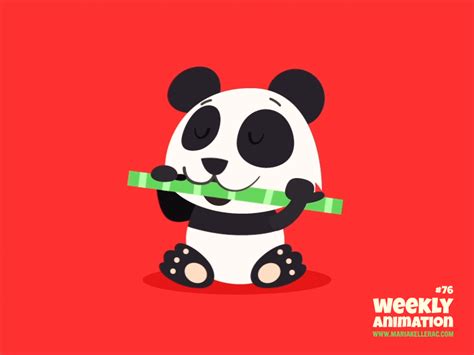 Panda By Maria Keller On Dribbble