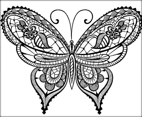 Beautiful Butterfly Drawing At Getdrawings Free Download