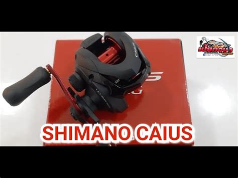 Shimano Caius Youtube