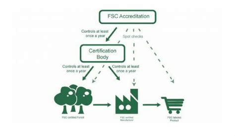 Fsc Certification Forest Stewardship Council Chain Of Custody Coc