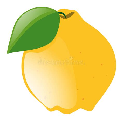 Fresh Lemon With Green Leaf Stock Illustration Illustration Of Food