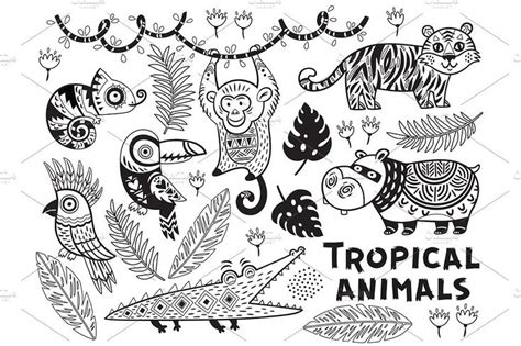 Tropical Animals Animal Coloring Pages Coloring Pages Nature