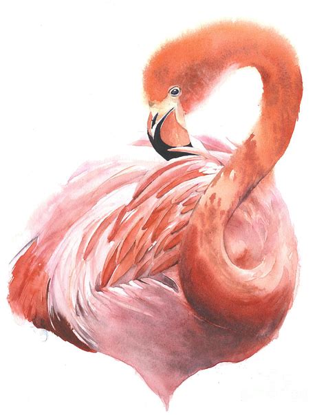 Flamingo Watercolor Art Painting By Yulia Shevchenko Fine Art America