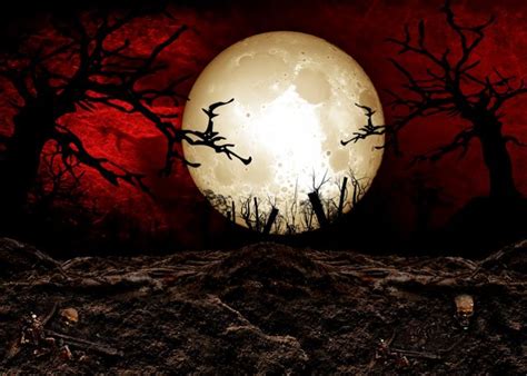 Halloween Bloody Jungle Photography Background Forest Night Cemetery