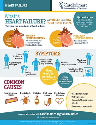 Heart Failure Infographic Cardiosmart American College Of Cardiology