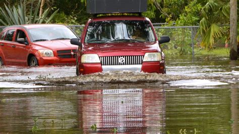 Hurricane Irma Orlando Assesses The Damage Photos Orlando Business