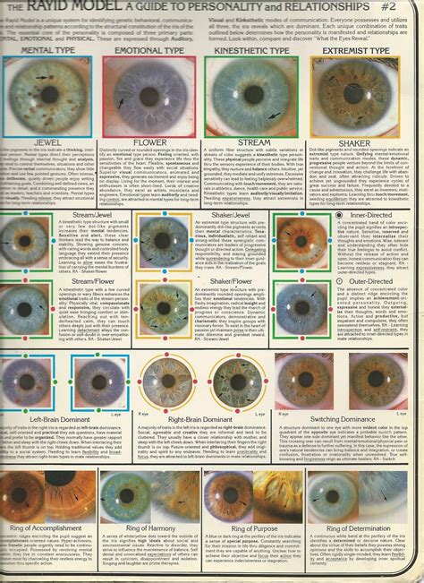 Eye Chart Iridology Chart Health Chart