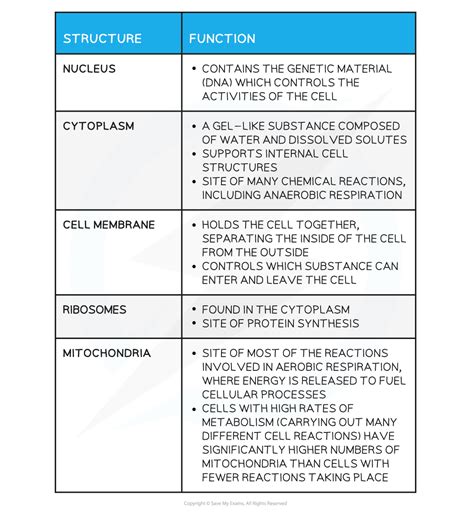 Common Features Eukaryotic Organisms 12 Edexcel Igcse Biology