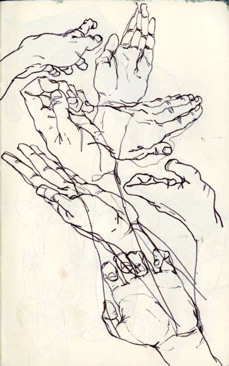 This drawing shows blind contour lines by Egon Schiele Mãos