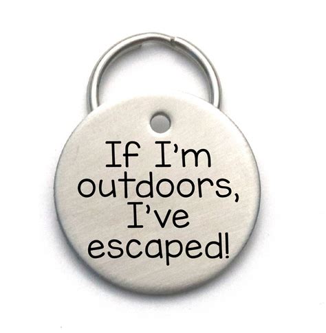 Pet id tags or dog tags are one the best ways to ensure the safe return or urgent medical care your pet may need. Engraved Stainless Steel Pet ID Tag - Personalized Unique ...