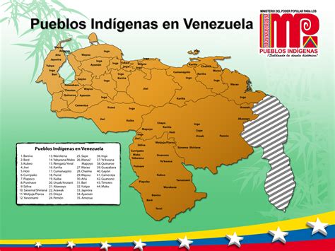 Los Pueblos Indígenas De Venezuela En Infografía