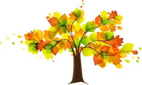 Download High Quality Fall Clipart Tree Transparent Png Images Art