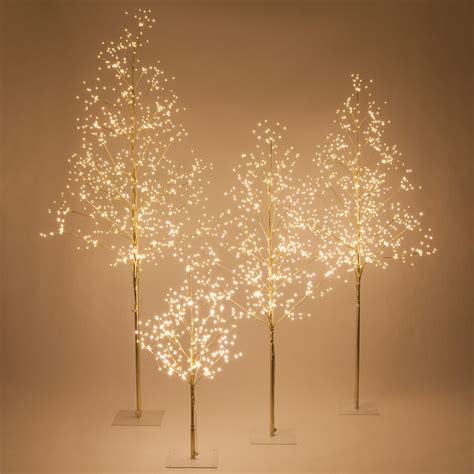Sharp Already Hold Lighted Fairy Tree Inspiration Accumulate Orderly