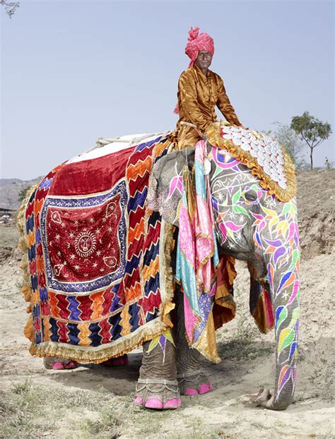 Top 20 Elephants Decorated In Thousand Colors For The