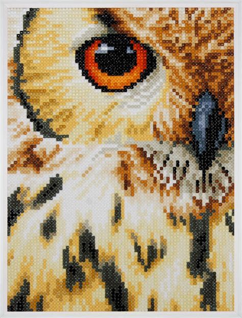Owl From Lanarte Diamond Painting Kits Casa Cenina