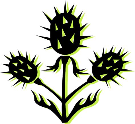 Scottish Thistle Vector At Getdrawings Free Download