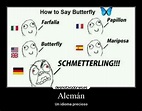 ¡Los mejores memes del idioma alemán!